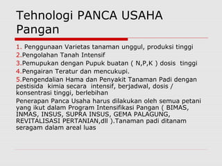Tehnologi PANCA USAHA
Pangan
1. Penggunaan Varietas tanaman unggul, produksi tinggi
2.Pengolahan Tanah Intensif
3.Pemupukan dengan Pupuk buatan ( N,P,K ) dosis tinggi
4.Pengairan Teratur dan mencukupi.
5.Pengendalian Hama dan Penyakit Tanaman Padi dengan
pestisida kimia secara intensif, berjadwal, dosis /
konsentrasi tinggi, berlebihan
Penerapan Panca Usaha harus dilakukan oleh semua petani
yang ikut dalam Program Intensifikasi Pangan ( BIMAS,
INMAS, INSUS, SUPRA INSUS, GEMA PALAGUNG,
REVITALISASI PERTANIAN,dll ).Tanaman padi ditanam
seragam dalam areal luas
 
