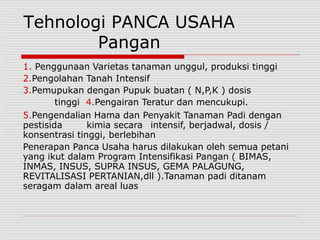 Tehnologi PANCA USAHA
Pangan
1. Penggunaan Varietas tanaman unggul, produksi tinggi
2.Pengolahan Tanah Intensif
3.Pemupukan dengan Pupuk buatan ( N,P,K ) dosis
tinggi 4.Pengairan Teratur dan mencukupi.
5.Pengendalian Hama dan Penyakit Tanaman Padi dengan
pestisida kimia secara intensif, berjadwal, dosis /
konsentrasi tinggi, berlebihan
Penerapan Panca Usaha harus dilakukan oleh semua petani
yang ikut dalam Program Intensifikasi Pangan ( BIMAS,
INMAS, INSUS, SUPRA INSUS, GEMA PALAGUNG,
REVITALISASI PERTANIAN,dll ).Tanaman padi ditanam
seragam dalam areal luas
 