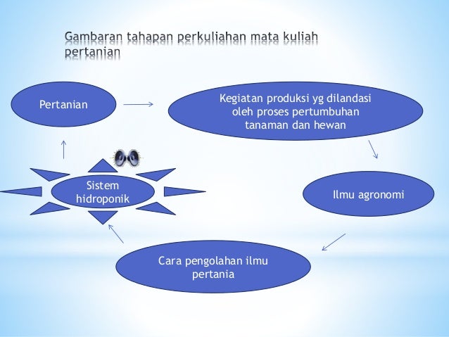 iPertanian hidroponiki