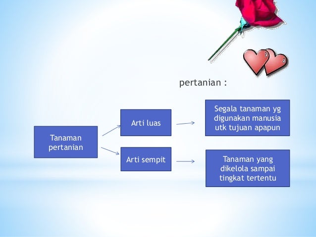 iPertanian hidroponiki