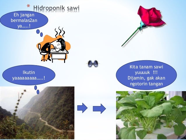iPertanian hidroponiki