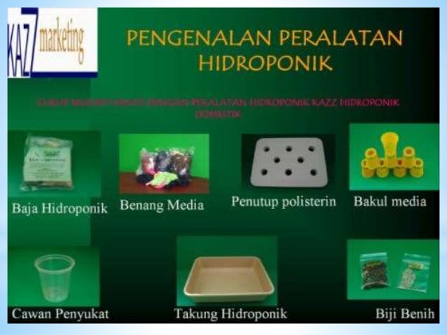 iPertanian hidroponiki