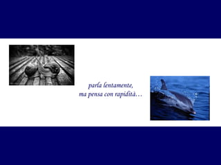 parla lentamente,
ma pensa con rapidità…

 