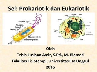 Sel: Prokariotik dan Eukariotik
Oleh
Trisia Lusiana Amir, S.Pd., M. Biomed
Fakultas Fisioterapi, Universitas Esa Unggul
2016
 