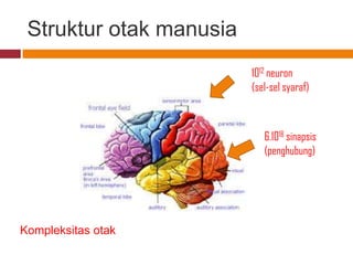 Struktur otak manusia
                         1012 neuron
                         (sel-sel syaraf)



                            6.1018 sinapsis
                            (penghubung)




Kompleksitas otak
 