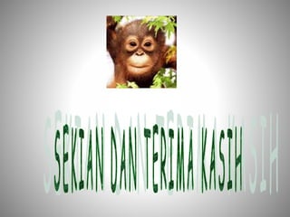 Pranata Pembangunan Pertemuan 1