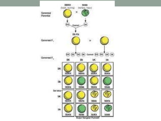 Pertemuan 1. history of genetics | PPTX