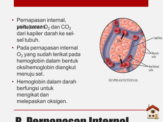 pertemuan 1.pptx