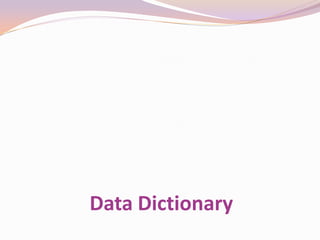 Data Dictionary