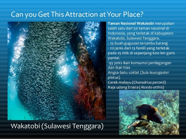 10. Geografi Pariwisata - Pengaruh Tipologi, Motivasi ...