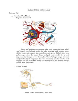 BAHAN MATERI SISTEM SARAF
Pertemuan Ke-1
A. Sistem Saraf Pada Manusia
1. Pengertian Sistem Saraf
Sistem saraf adalah sistem organ yang paling rumit, tersusun dari jutaan sel-sel
saraf (neuron) yang berbentuk serabut dan saling terhubung untuk persepsi sensor,
aktivitas motor sadar maupun tidak sadar, homeostasis proses fisiologi tubuh, serta
perkembangan pikiran dan ingatan. Sistem saraf pada manusia terdiri dari sel saraf
yang biasa disebut dengan neuron dan sel gilial. Neuron berfungsi sebagai alat untuk
menghantarkan impuls (rangsangan) dari panca indra menuju otak dan kemudian hasil
tanggapan dari otak akan dikirim menuju otot. Sedangkan sel gilial berfungsi sebagai
pemberi nutrisi pada neuron.
2. Sel saraf (neuron)
Gambar. 1 Struktur Sel Neuron Source : Complete Biology
 