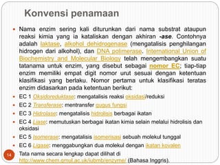 Konvensi penamaan
 Nama enzim sering kali diturunkan dari nama substrat ataupun
reaksi kimia yang ia kataliskan dengan akhiran -ase. Contohnya
adalah laktase, alkohol dehidrogenase (mengatalisis penghilangan
hidrogen dari alkohol), dan DNA polimerase. International Union of
Biochemistry and Molecular Biology telah mengembangkan suatu
tatanama untuk enzim, yang disebut sebagai nomor EC; tiap-tiap
enzim memiliki empat digit nomor urut sesuai dengan ketentuan
klasifikasi yang berlaku. Nomor pertama untuk klasifikasi teratas
enzim didasarkan pada ketentuan berikut:
 EC 1 Oksidoreduktase: mengatalisis reaksi oksidasi/reduksi
 EC 2 Transferase: mentransfer gugus fungsi
 EC 3 Hidrolase: mengatalisis hidrolisis berbagai ikatan
 EC 4 Liase: memutuskan berbagai ikatan kimia selain melalui hidrolisis dan
oksidasi
 EC 5 Isomerase: mengatalisis isomerisasi sebuah molekul tunggal
 EC 6 Ligase: menggabungkan dua molekul dengan ikatan kovalen
 Tata nama secara lengkap dapat dilihat di
http://www.chem.qmul.ac.uk/iubmb/enzyme/ (Bahasa Inggris).
14
 