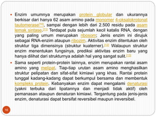  Enzim umumnya merupakan protein globular dan ukurannya
berkisar dari hanya 62 asam amino pada monomer 4-oksalokrotonat
tautomerase[10], sampai dengan lebih dari 2.500 residu pada asam
lemak sintase.[11] Terdapat pula sejumlah kecil katalis RNA, dengan
yang paling umum merupakan ribosom; Jenis enzim ini dirujuk
sebagai RNA-enzim ataupun ribozim. Aktivitas enzim ditentukan oleh
struktur tiga dimensinya (struktur kuaterner).[12] Walaupun struktur
enzim menentukan fungsinya, prediksi aktivitas enzim baru yang
hanya dilihat dari strukturnya adalah hal yang sangat sulit.[13]
 Sama seperti protein-protein lainnya, enzim merupakan rantai asam
amino yang melipat. Tiap-tiap urutan asam amino menghasilkan
struktur pelipatan dan sifat-sifat kimiawi yang khas. Rantai protein
tunggal kadang-kadang dapat berkumpul bersama dan membentuk
kompleks protein. Kebanyakan enzim dapat mengalami denaturasi
(yakni terbuka dari lipatannya dan menjadi tidak aktif) oleh
pemanasan ataupun denaturan kimiawi. Tergantung pada jenis-jenis
enzim, denaturasi dapat bersifat reversibel maupun ireversibel.
16
 