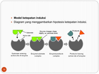  Model ketepatan induksi
 Diagram yang menggambarkan hipotesis ketepatan induksi.
19
 