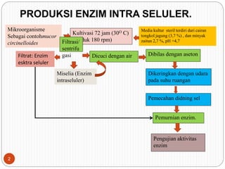 PRODUKSI ENZIM INTRA SELULER.
Mikroorganisme
Sebagai contohmucor
circinelloides
Media kultur steril terdiri dari cairan
tongkol jagung (3,7 %) , dan minyak
zaitun 2,7 %, pH =4,7
Kultivasi 72 jam (30O C)
(diaduk 180 rpm)
Filtrasi/
sentrifu
gasi Dicuci dengan air Dibilas dengan aseton
Miselia (Enzim
intraseluler)
Filtrat: Enzim
esktra seluler
Dikeringkan dengan udara
pada suhu ruangan
Pemecahan didning sel
Pemurnian enzim.
Pengujian aktivitas
enzim
2
 