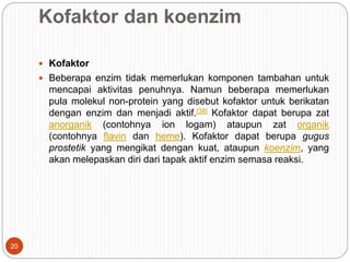Kofaktor dan koenzim
 Kofaktor
 Beberapa enzim tidak memerlukan komponen tambahan untuk
mencapai aktivitas penuhnya. Namun beberapa memerlukan
pula molekul non-protein yang disebut kofaktor untuk berikatan
dengan enzim dan menjadi aktif.[38] Kofaktor dapat berupa zat
anorganik (contohnya ion logam) ataupun zat organik
(contohnya flavin dan heme). Kofaktor dapat berupa gugus
prostetik yang mengikat dengan kuat, ataupun koenzim, yang
akan melepaskan diri dari tapak aktif enzim semasa reaksi.
20
 