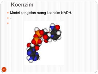 Koenzim
 Model pengisian ruang koenzim NADH.
 .

22
 