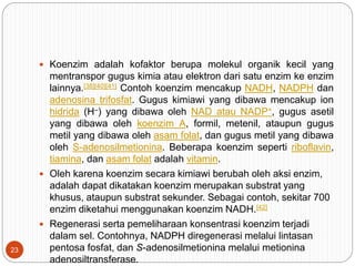  Koenzim adalah kofaktor berupa molekul organik kecil yang
mentranspor gugus kimia atau elektron dari satu enzim ke enzim
lainnya.[38][40][41] Contoh koenzim mencakup NADH, NADPH dan
adenosina trifosfat. Gugus kimiawi yang dibawa mencakup ion
hidrida (H–) yang dibawa oleh NAD atau NADP+, gugus asetil
yang dibawa oleh koenzim A, formil, metenil, ataupun gugus
metil yang dibawa oleh asam folat, dan gugus metil yang dibawa
oleh S-adenosilmetionina. Beberapa koenzim seperti riboflavin,
tiamina, dan asam folat adalah vitamin.
 Oleh karena koenzim secara kimiawi berubah oleh aksi enzim,
adalah dapat dikatakan koenzim merupakan substrat yang
khusus, ataupun substrat sekunder. Sebagai contoh, sekitar 700
enzim diketahui menggunakan koenzim NADH.[42]
 Regenerasi serta pemeliharaan konsentrasi koenzim terjadi
dalam sel. Contohnya, NADPH diregenerasi melalui lintasan
pentosa fosfat, dan S-adenosilmetionina melalui metionina
adenosiltransferase.
23
 