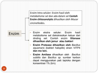 • Enzim ekstra seluler: Enzim hasil
metabolisme sel diekskresikan keluar dari
dinding sel: Contoh enzim Xilanase
dihasilkan oleh jamur atau bakteri
• Enzim Protease dihasilkan oleh Bacillus
aquamaris (bakteri halopilik) strain VITP4
dan mo lain.
• Enzim Amilase dihasilkan oleh Bacillus
subtilis dan Bacillus sp. sumber karbon
dapat menggunakan pati tapioka dengan
konsentrasi 1% (b/v).
Enzim
Enzim
Enzim Intra seluler: Enzim hasil oleh
metabolisme sel dan ada dalam sel Contoh
Enzim chitosanolytic dihasilkan oleh Mucor
circinelloides.
25
 