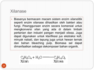 Xilanase
• Biasanya bermacam macam sistem enzim xilanolitik
seperti enzim xilanase dihasilkan oleh bakteri atau
fungi. Pewnggunaan enzim secara komersial untuk
mengkonversi xilan yang ada di dalam limbah
pertanian dan industri pangan menjadi xilosa. Juga
dapat digunakan untuk klarifikasi jus ekstraksi kofi,
minyak nabati, dan tepung juga untuk hewan ternak
dan bahan bleaching pulp. Biomasa sel dapat
dimanfaatkan sebagai dekomposer bahan organik.
28
 