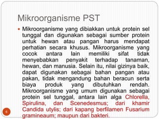 Mikroorganisme PST
 Mikroorganisme yang dibiakkan untuk protein sel
tunggal dan digunakan sebagai sumber protein
untuk hewan atau pangan harus mendapat
perhatian secara khusus. Mikroorganisme yang
cocok antara lain memiliki sifat tidak
menyebabkan penyakit terhadap tanaman,
hewan, dan manusia. Selain itu, nilai gizinya baik,
dapat digunakan sebagai bahan pangan atau
pakan, tidak mengandung bahan beracun serta
biaya produk yang dibutuhkan rendah.
Mikroorganisme yang umum digunakan sebagai
protein sel tunggal, antara lain alga Chlorella,
Spirulina, dan Scenedesmus; dari khamir
Candida utylis; dari kapang berfilamen Fusarium
gramineaum; maupun dari bakteri.
6
 