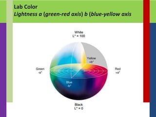 Lab Color
Lightness a (green-red axis) b (blue-yellow axis
 