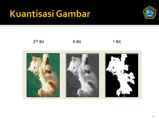 224 Bit   8 Bit   1 Bit




                          4
 