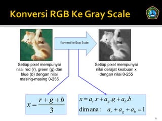 Setiap pixel mempunyai               Setiap pixel mempunyai
nilai red (r), green (g) dan          nilai derajat keabuan x
   blue (b) dengan nilai                 dengan nilai 0-255
  masing-masing 0-255




         r  g b              x  ar .r  ag .g  ab .b
      x
             3                 dim ana : ar  ag  ab  1
                                                                6
 