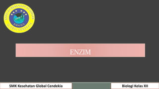 ENZIM
SMK Kesehatan Global Cendekia Biologi Kelas XII
 