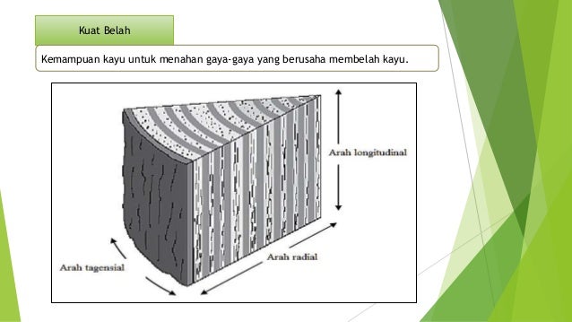 Pertemuan 2 pengetahuan dasar konstruksi kayu Pertemuan 2 pengetahuan dasar konstruksi kayu