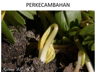 PERKECAMBAHAN




Ridwan, SP., M.Si
 