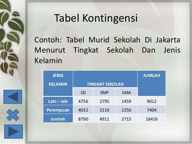 Pertemuan 3 Penyajian Data