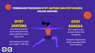 PERBEDAAN FISIOLOGIS OTOT JANTUNG DAN OTOT RANGKA
DALAM JANTUNG
OTOT
JANTUNG
otot jantung bereaksi
secara tetap berirama,
tanpa menerima impul-
impul saraf
- otot jantung 3/10 detik -
otot rangka 1/500 detik
OTOT
RANGKA
Otot rangka secara
normal bereaksi bila
dirangsang
kecepatan depolarisasi
(waktu yang diperlukan
untuk relaksasi
 