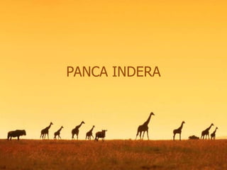 PANCA INDERA
 