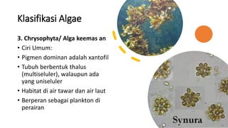 Pertemuan 4. Protozoa, Algae dan Virus.pdf