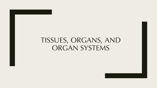 TISSUES, ORGANS, AND
ORGAN SYSTEMS
 