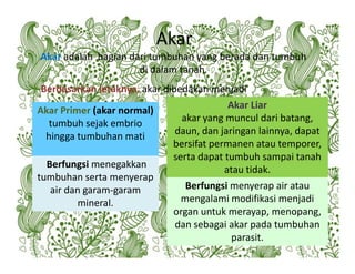 Pertemuan 4 Materi_Organ_pada_Tumbuhan.pdf