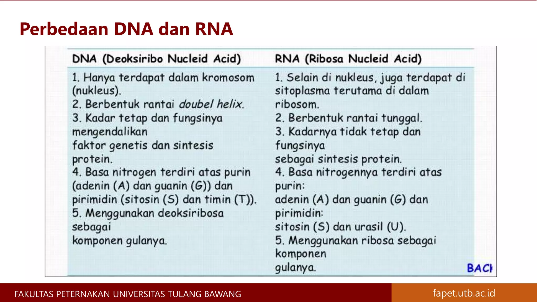 Materi Genetik Kromosom, Gen, DNA, dan RNA - Materi Genetika Ternak | PPTX