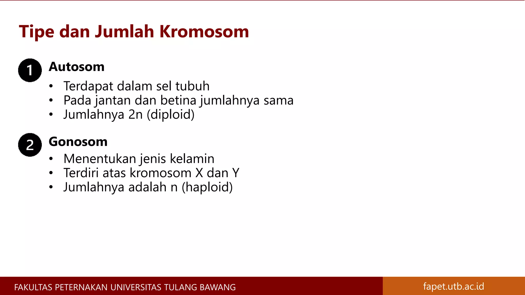 Materi Genetik Kromosom, Gen, DNA, dan RNA - Materi Genetika Ternak | PPTX