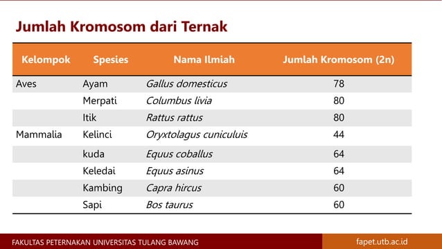 Materi Genetik Kromosom, Gen, DNA, dan RNA - Materi Genetika Ternak | PPTX