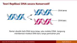 Materi Genetik Kromosom, Gen, DNA, dan RNA - Materi Genetika Ternak | PPTX