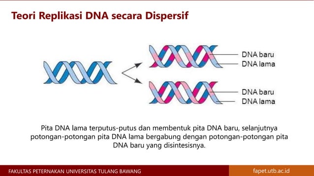 Materi Genetik Kromosom, Gen, DNA, dan RNA - Materi Genetika Ternak | PPTX