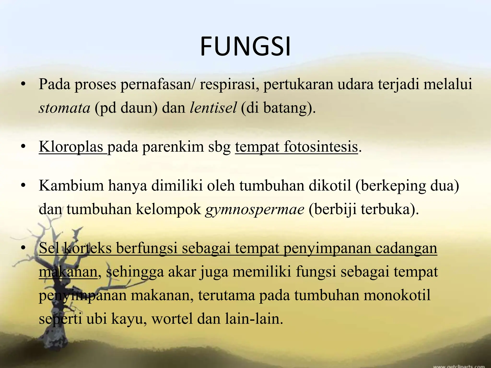 Pertemuan 5 Struktur dan fungsi tumbuhan.pptx