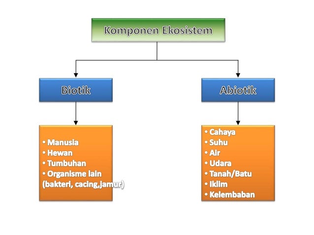 Ekosistem 1