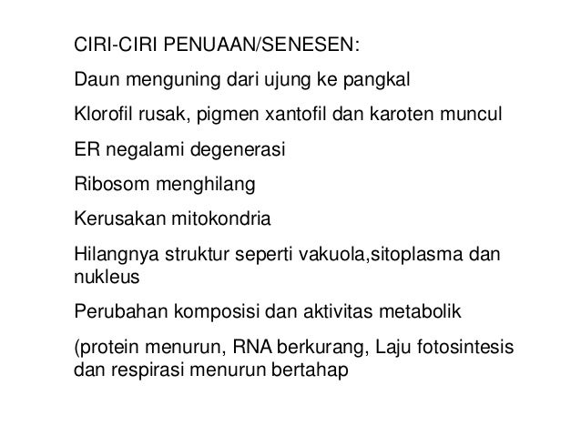 SEBAB-SEBAB SENESEN:Asam-asam amino diangkut ke bagian lainSintesis protein menurunPutaran balik protein tak seimbang: kat...