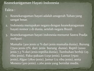 Keanekaragaman Hayati Indonesia
Fakta :
1. Keanekaragaman hayati adalah anugerah Tuhan yang
sangat besar.
2. Indonesia merupakan negara dengan keanekaragaman
hayati nomor 2 di dunia, setelah negara Brazil.
3. Keanekaragaman hayati indonesia menurut Sastra Pradja
meliputi :
Mamalia (300 jenis 12 % dari jenis mamalia dunia), Burung
(7500 jenis 17% dari jenis burung dunia), Reptil (2000
jenis 7,3 % dari jenis reptilia dunia), Tumbuhan berbiji (25
ribu jenis), Paku-pakuan (1250 jenis), Lumut (7500
jenis), Algae (7800 jenis), Jamur (72 ribu jenis), serta
Monera (300 jenis). 1.260 jenis yang bernilai medis.
 