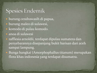  burung cendrawasih di papua,
 burung maleo di sulawesi,
 komodo di pulau komodo.
 anoa di sulawesi
 rafflesia arnoldii, terdapat dipulau sumatera dan
penyebarannya disepanjang bukit barisan dari aceh
sampai lampung.
 Bunga bangkai (Amorphophallus titanum) merupakan
flora khas indonesia yang terdapat disumatra.
 