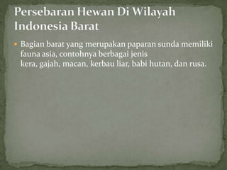  Bagian barat yang merupakan paparan sunda memiliki
fauna asia, contohnya berbagai jenis
kera, gajah, macan, kerbau liar, babi hutan, dan rusa.
 