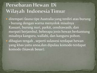  ditempati fauna tipe Australia yang terdiri atas burung
- burung dengan warna menyolok misalnya
Kasuari, burung nuri, parkit, cendrawasih, dan
merpati berjambul, beberapa jenis hewan berkantung
misalnya kanguru, wallabi, dan kanguru pohon.
 dibagian tengah , seperti sulawesi terdapat hewan
yang khas yaitu anoa,dan dipulau komodo terdapat
komodo (biawak besar).
 