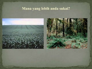 Mana yang lebih anda sukai?
 